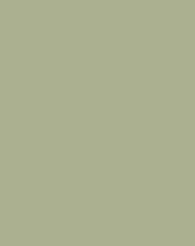 Color Pattern
